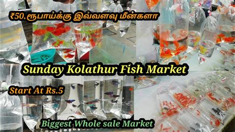 kolathur fish market online|Kolathur Fish Market .